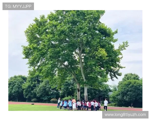 探访多宝真人的原产地,了解他的成长环境与文化背景